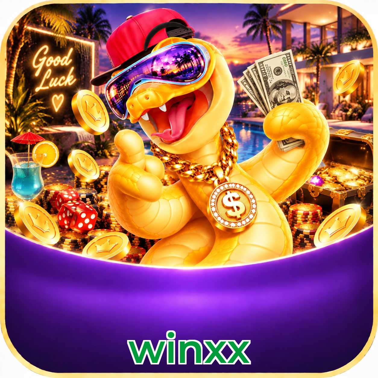 winxx Interface