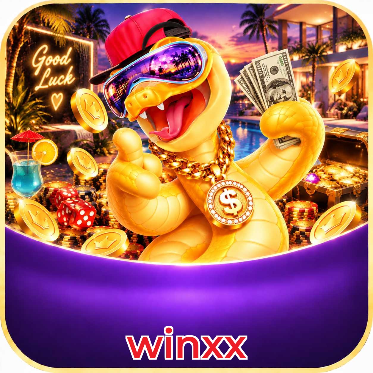 winxx Streaming Quality